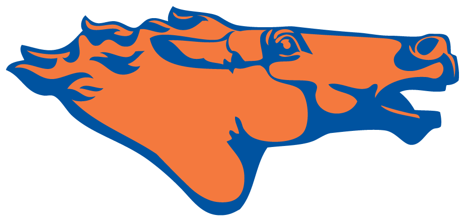 Boise State Broncos 1976-1977 Secondary Logo iron on transfers for clothing